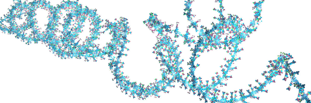 mRNA t-cell protein antibody