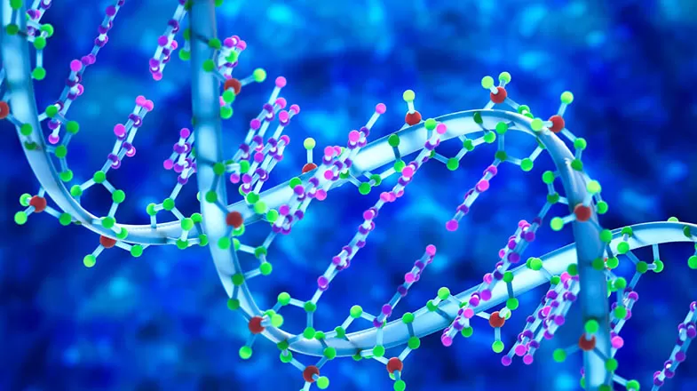 dna_3d_biomedical_illustration_375x306.jpg